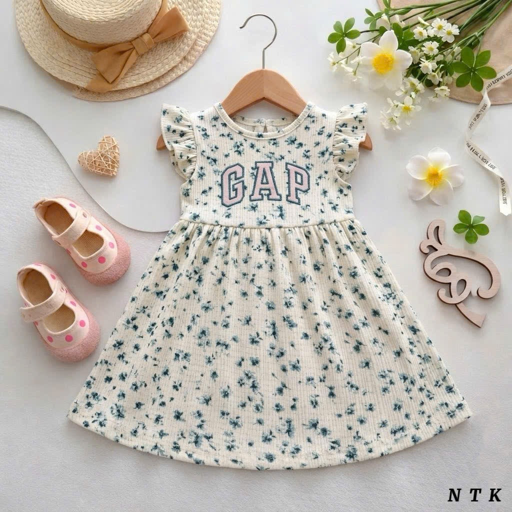 Princess Cut Embroidery Dress