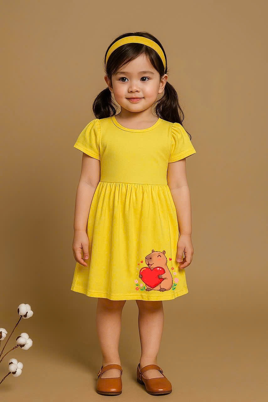 HPT Dress Full Size till 14